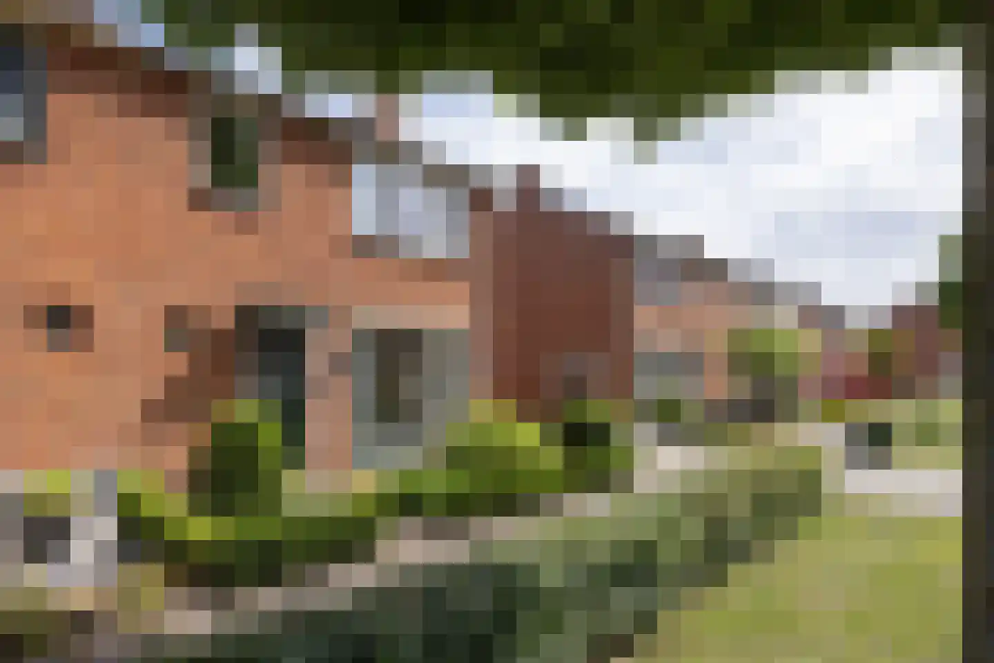 Kamperfoeliestraat 51 Hengelo thumbnail 26
