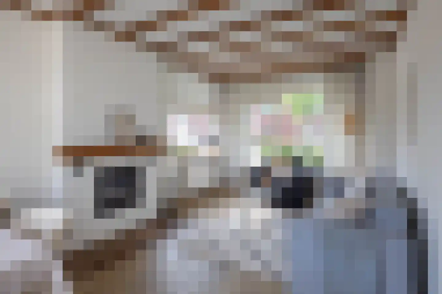 Kamperfoeliestraat 51 Hengelo thumbnail 4