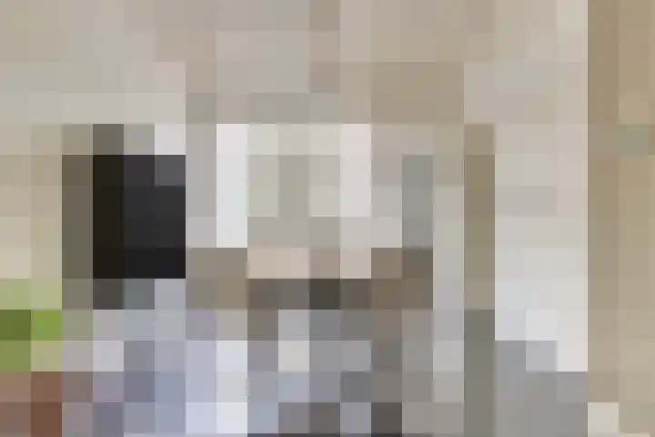 Kamperfoeliestraat 52 Goes thumbnail 11