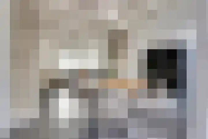 Kamperfoeliestraat 52 Goes thumbnail 12