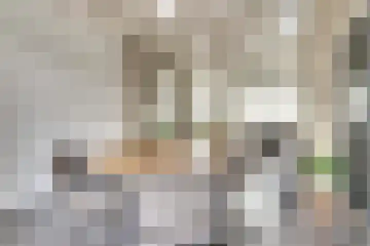 Kamperfoeliestraat 52 Goes thumbnail 13