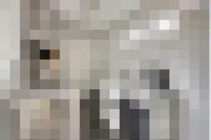 Kamperfoeliestraat 52 Goes thumbnail 14