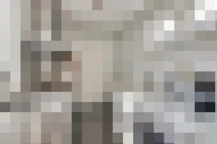 Kamperfoeliestraat 52 Goes thumbnail 15