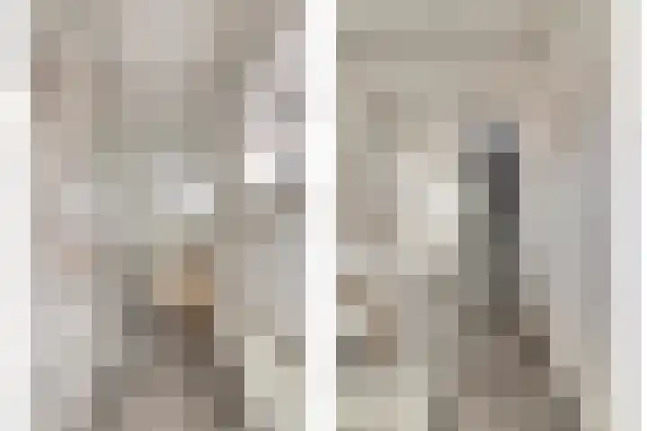 Kamperfoeliestraat 52 Goes thumbnail 17