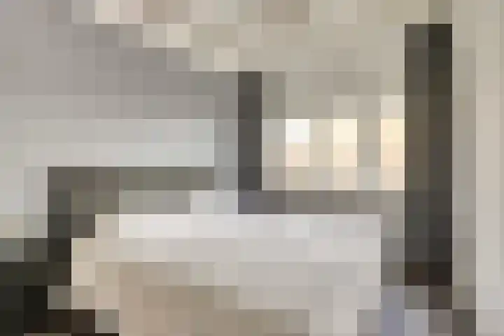 Kamperfoeliestraat 52 Goes thumbnail 21