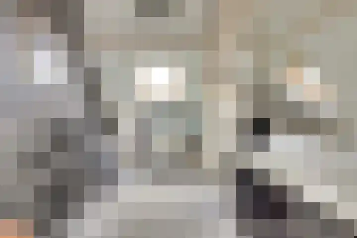 Kamperfoeliestraat 52 Goes thumbnail 22