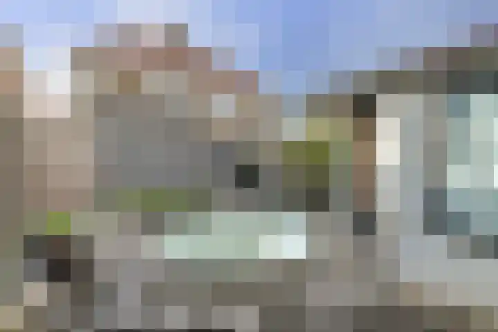 Kamperfoeliestraat 52 Goes thumbnail 26