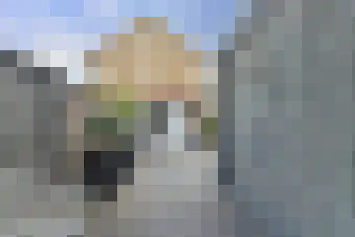 Kamperfoeliestraat 52 Goes thumbnail 27
