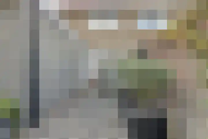 Kamperfoeliestraat 52 Goes thumbnail 28