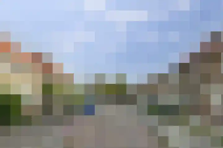 Kamperfoeliestraat 52 Goes thumbnail 30