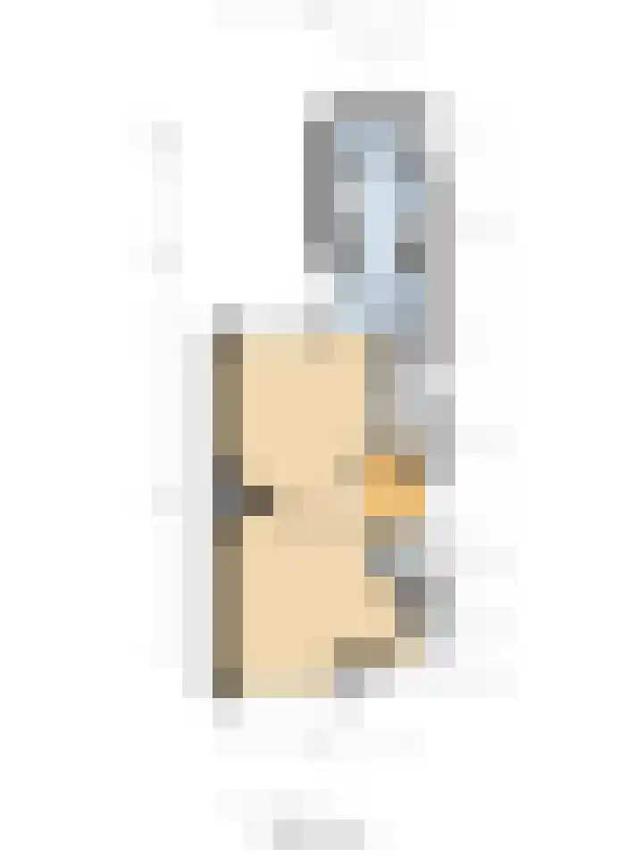 Kamperfoeliestraat 52 Goes thumbnail 32