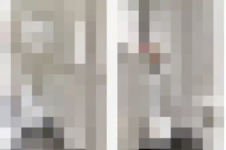 Kamperfoeliestraat 52 Goes thumbnail 5