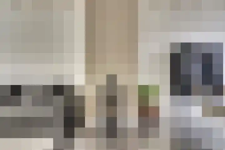 Kamperfoeliestraat 52 Goes thumbnail 6