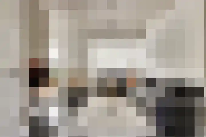 Kamperfoeliestraat 52 Goes thumbnail 8