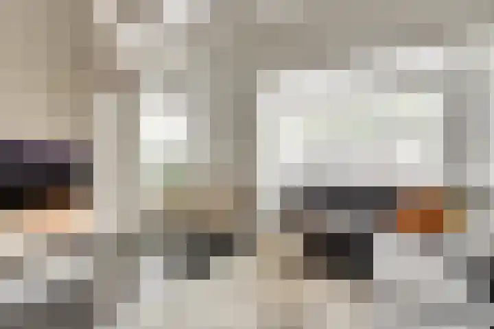 Kamperfoeliestraat 52 Goes thumbnail 9