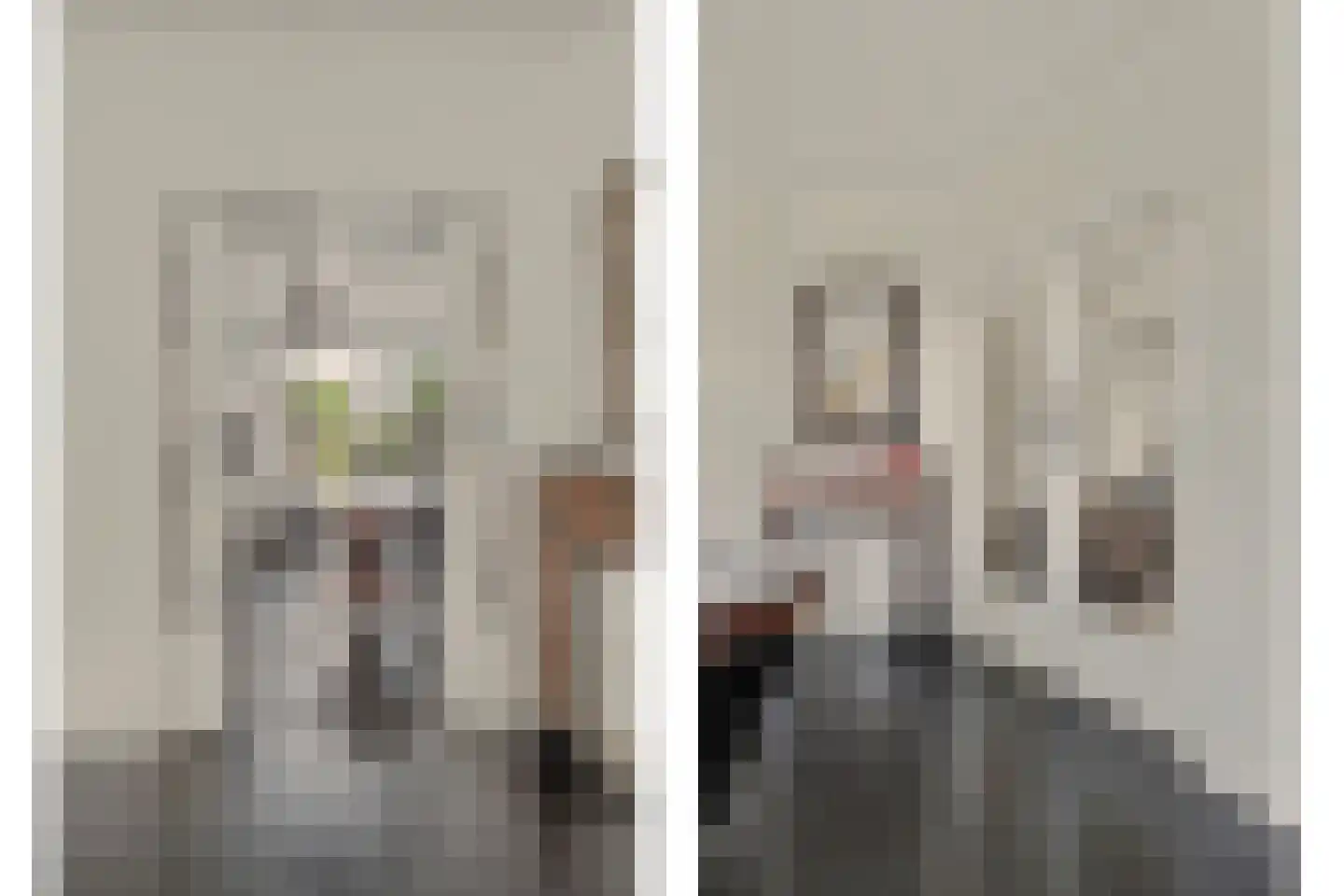 Kamperfoeliestraat 54 Goes thumbnail 10