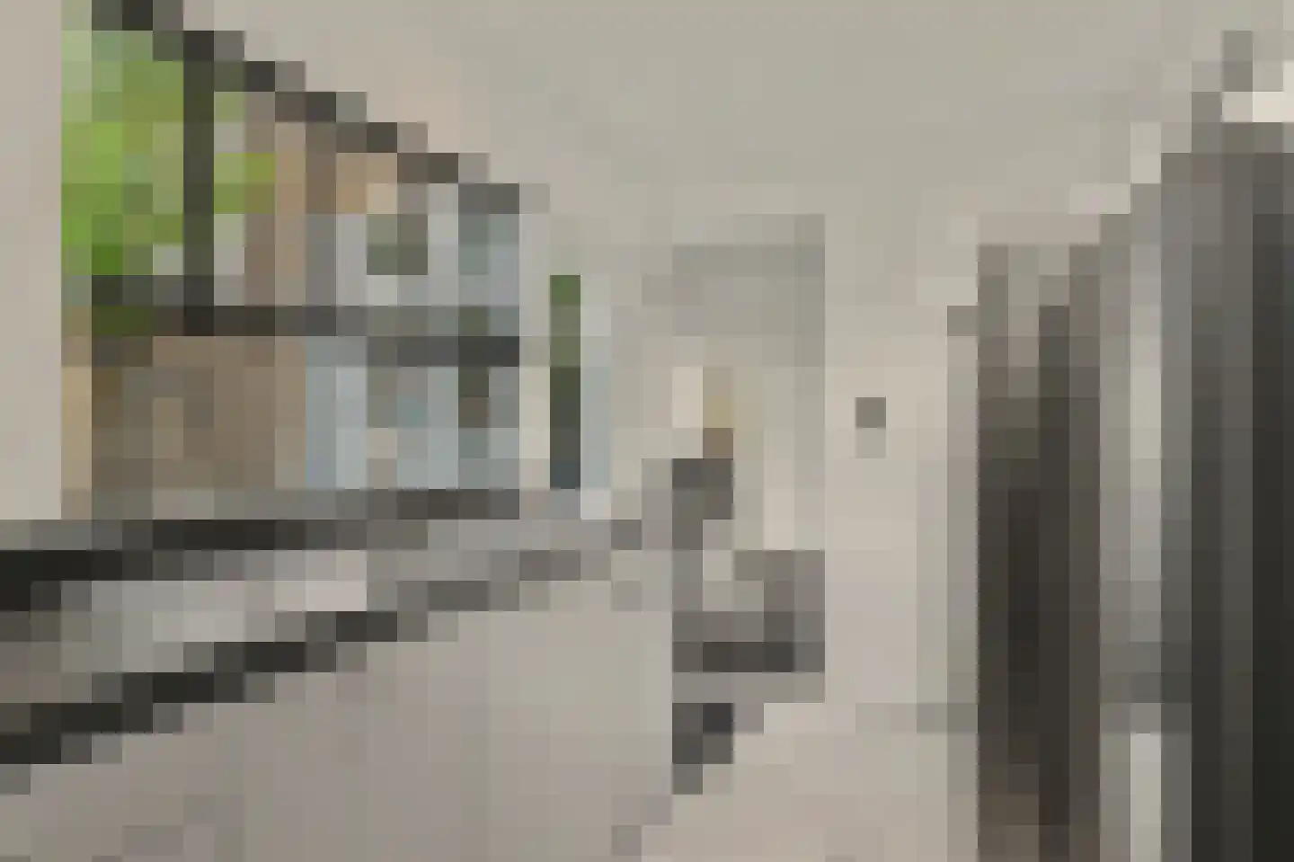 Kamperfoeliestraat 54 Goes thumbnail 12