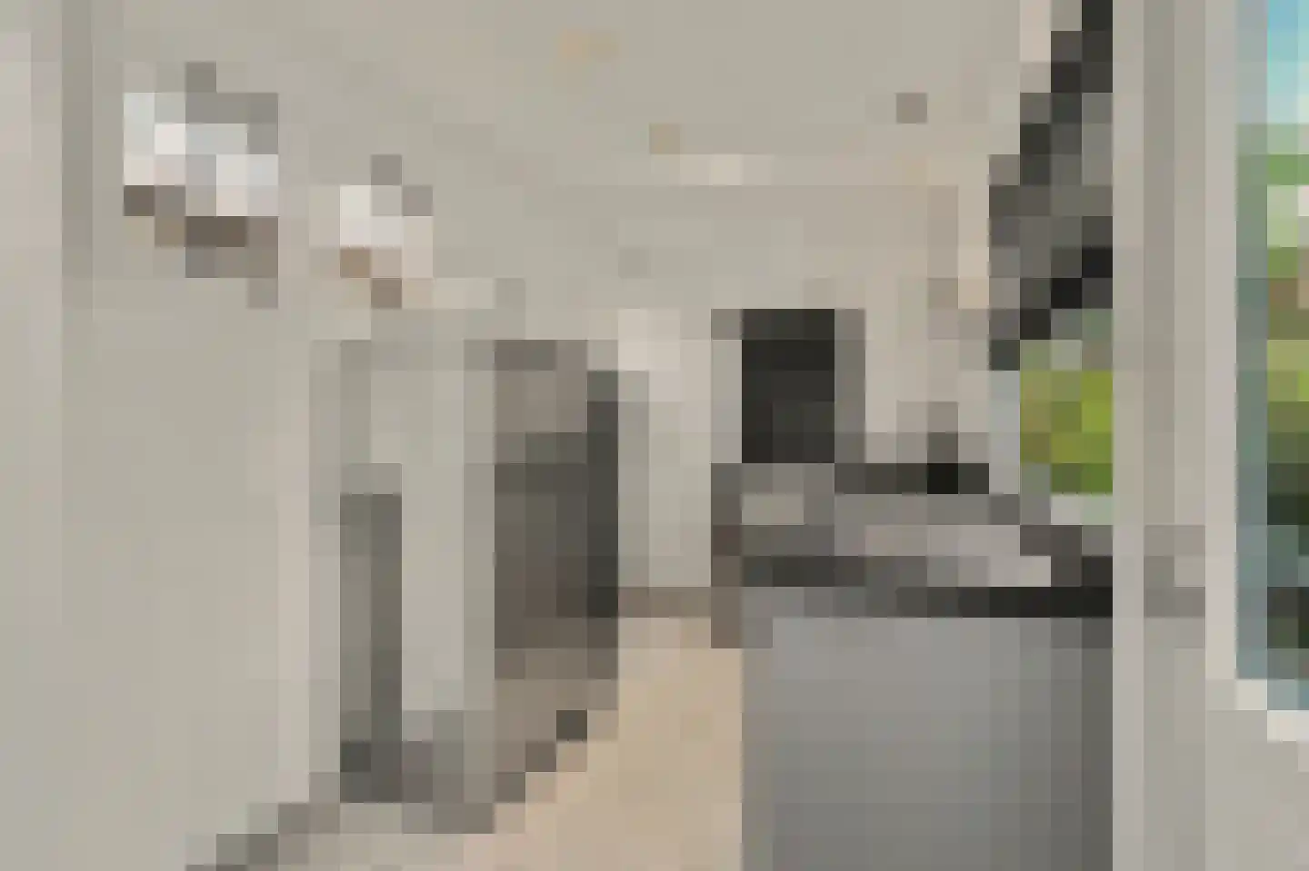 Kamperfoeliestraat 54 Goes thumbnail 13