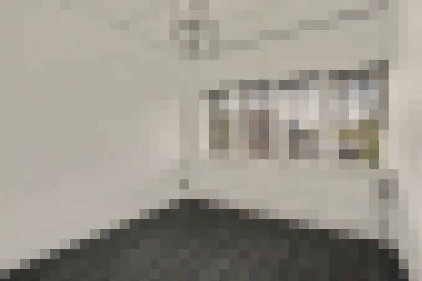 Kamperfoeliestraat 54 Goes thumbnail 17