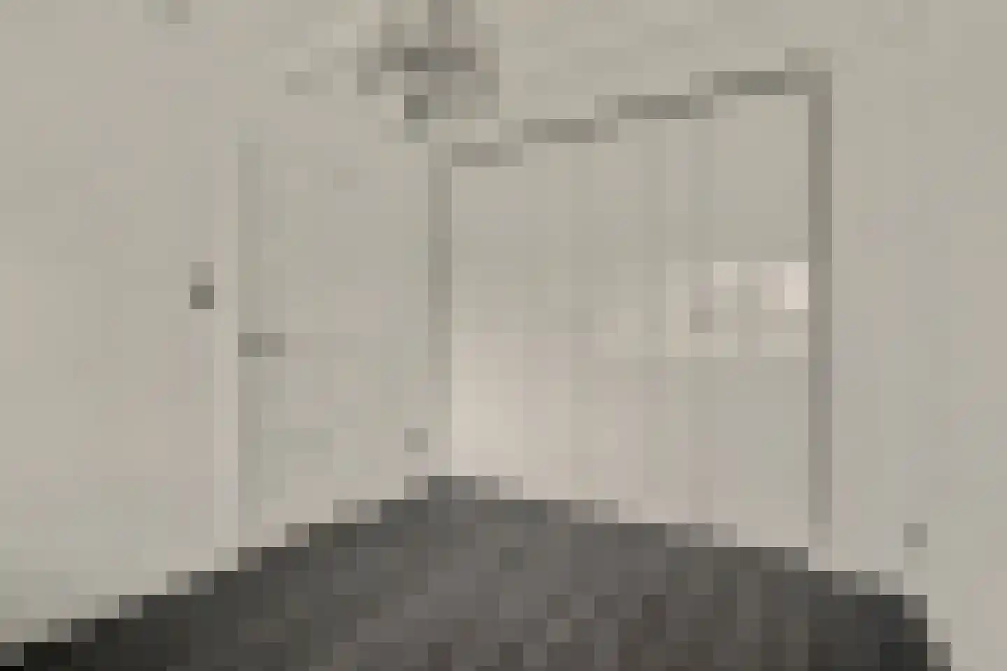 Kamperfoeliestraat 54 Goes thumbnail 18