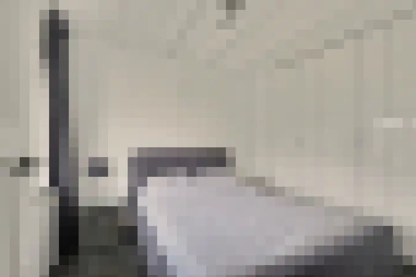 Kamperfoeliestraat 54 Goes thumbnail 20