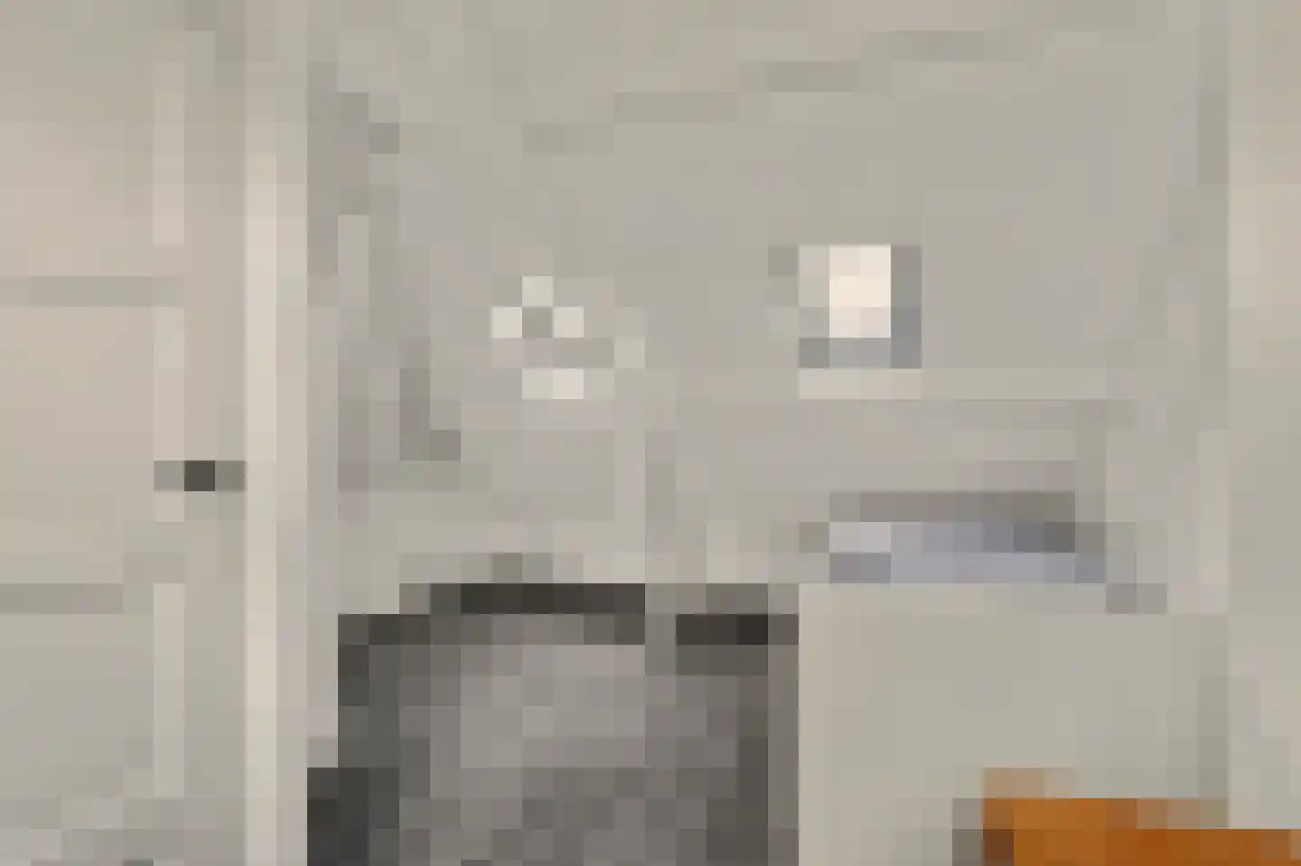Kamperfoeliestraat 54 Goes thumbnail 22