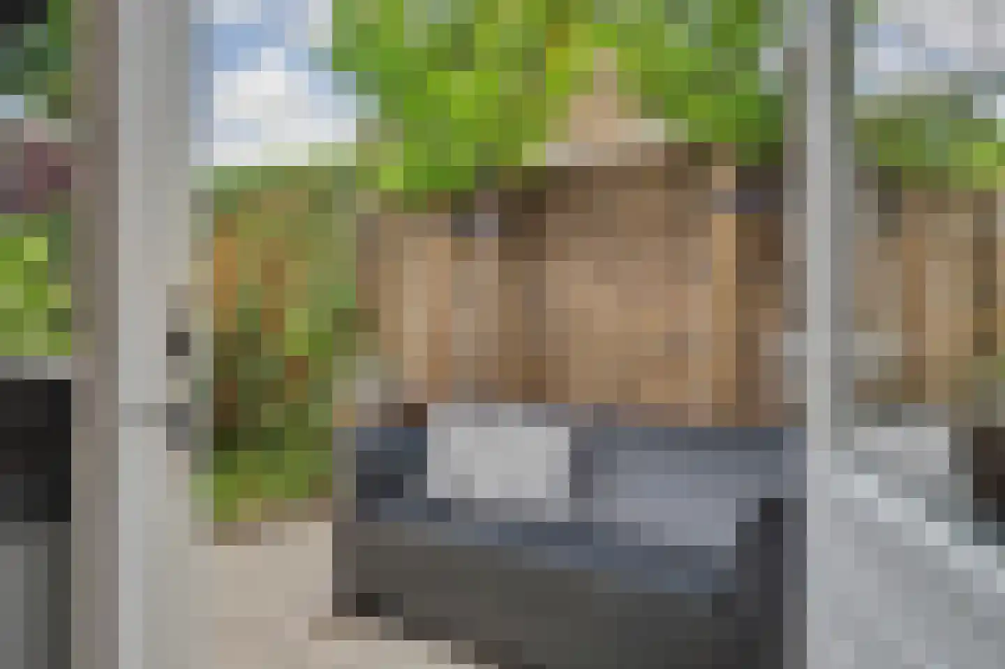 Kamperfoeliestraat 54 Goes thumbnail 24