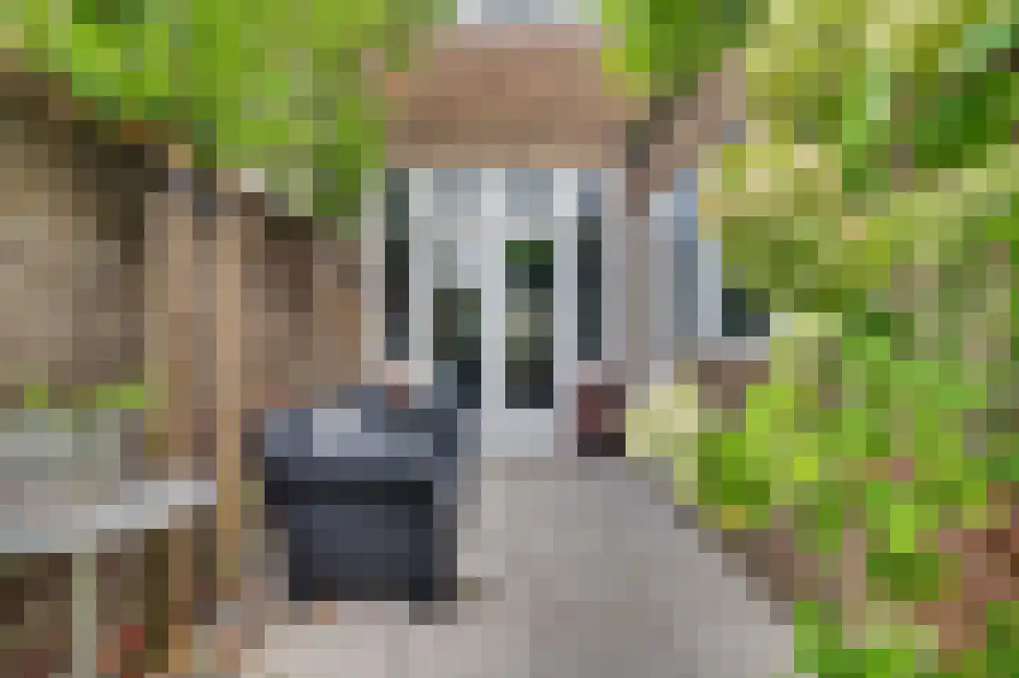 Kamperfoeliestraat 54 Goes thumbnail 25