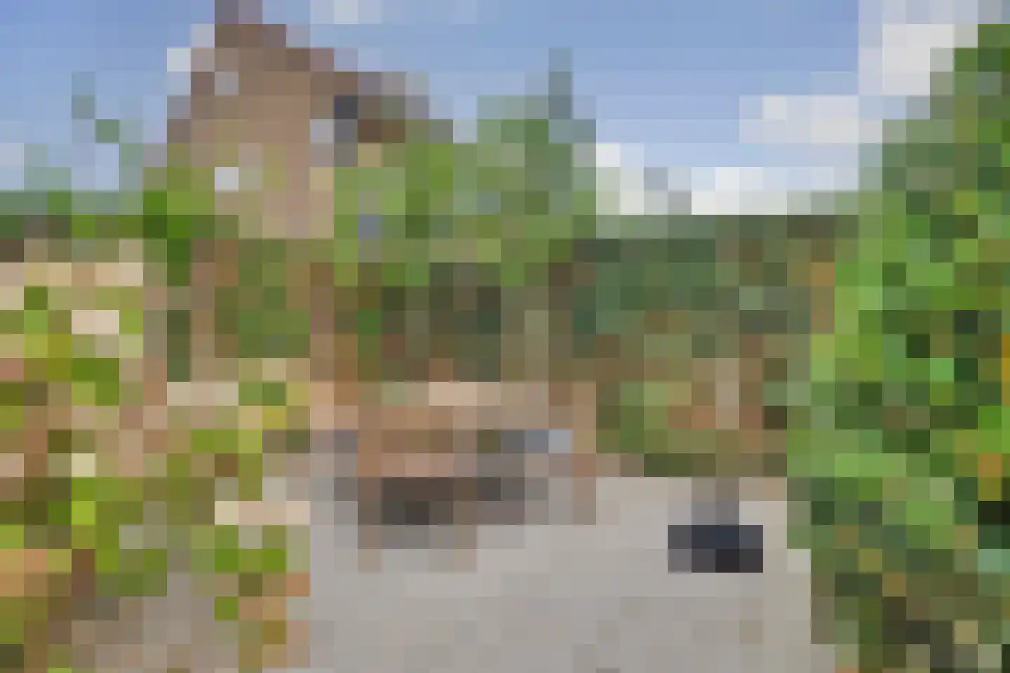 Kamperfoeliestraat 54 Goes thumbnail 26
