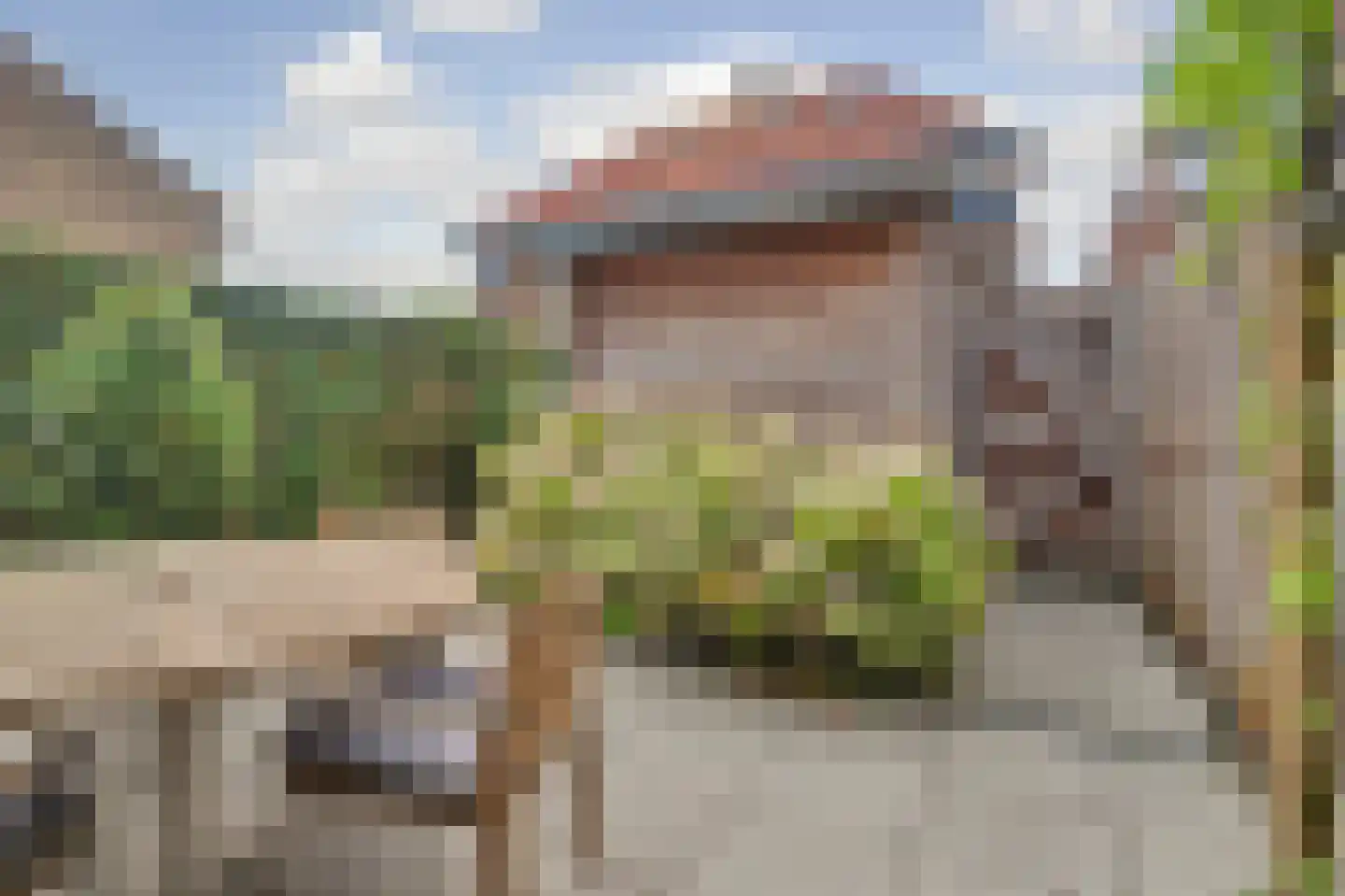 Kamperfoeliestraat 54 Goes thumbnail 27