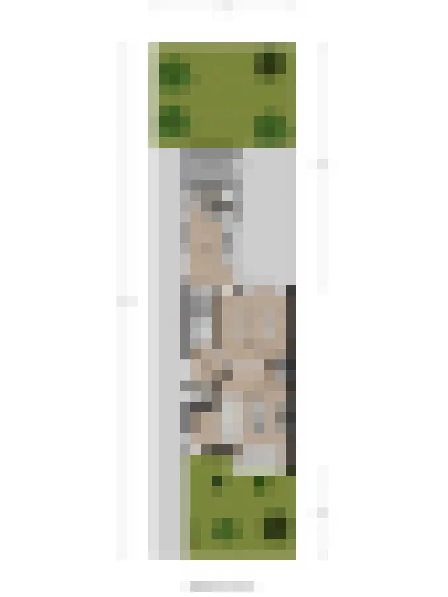 Kamperfoeliestraat 54 Goes thumbnail 33