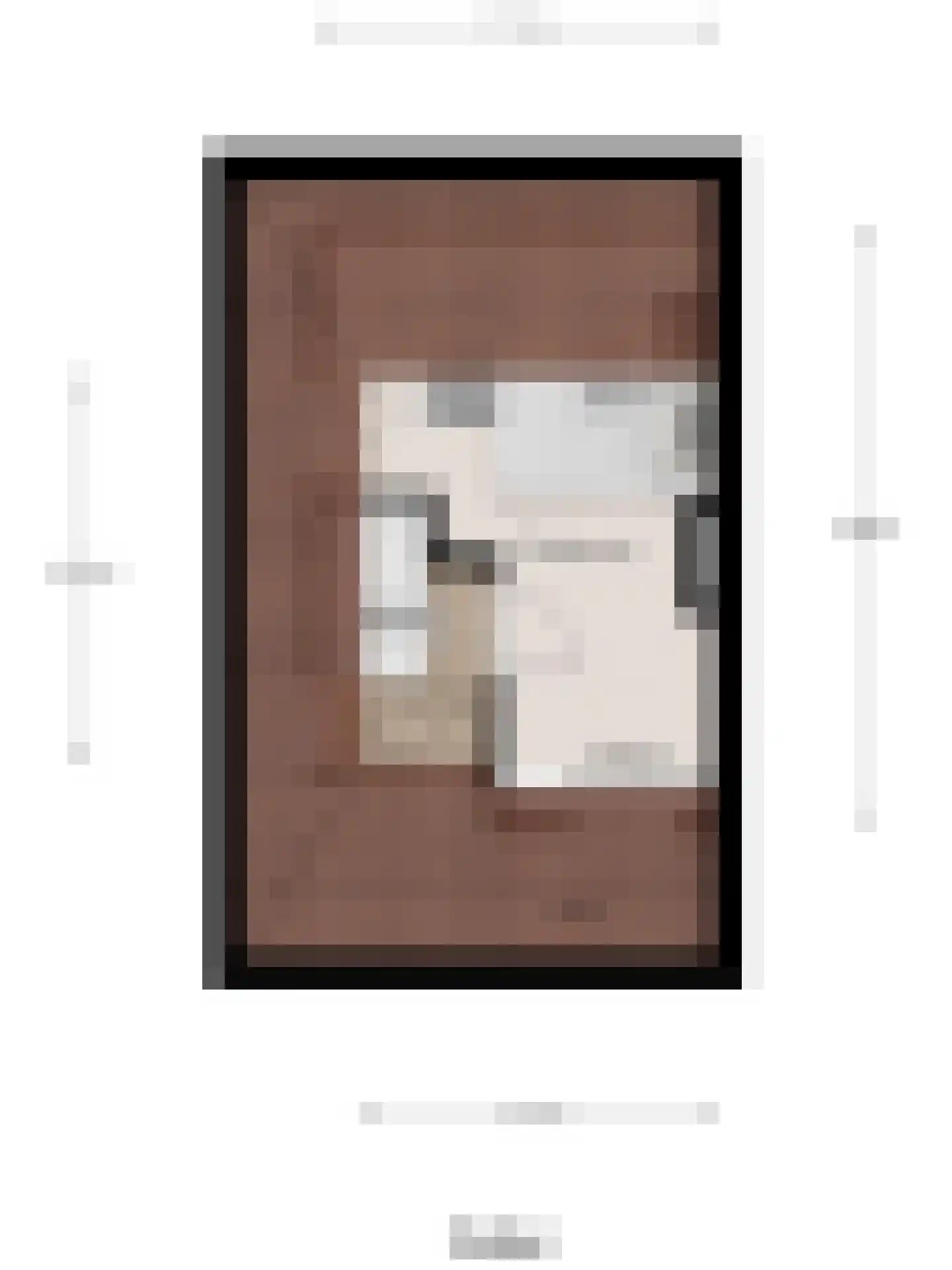 Kamperfoeliestraat 54 Goes thumbnail 36