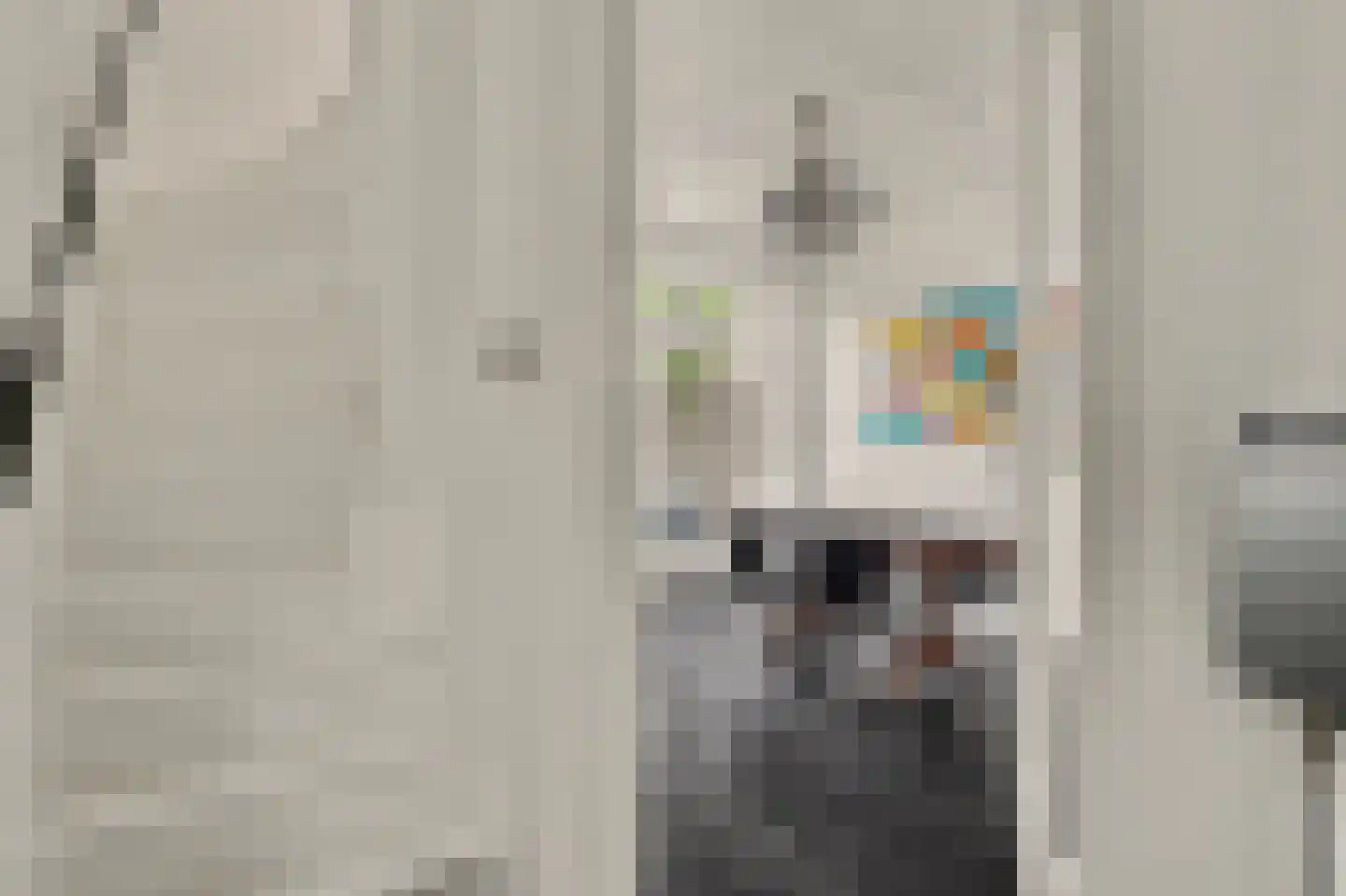 Kamperfoeliestraat 54 Goes thumbnail 7
