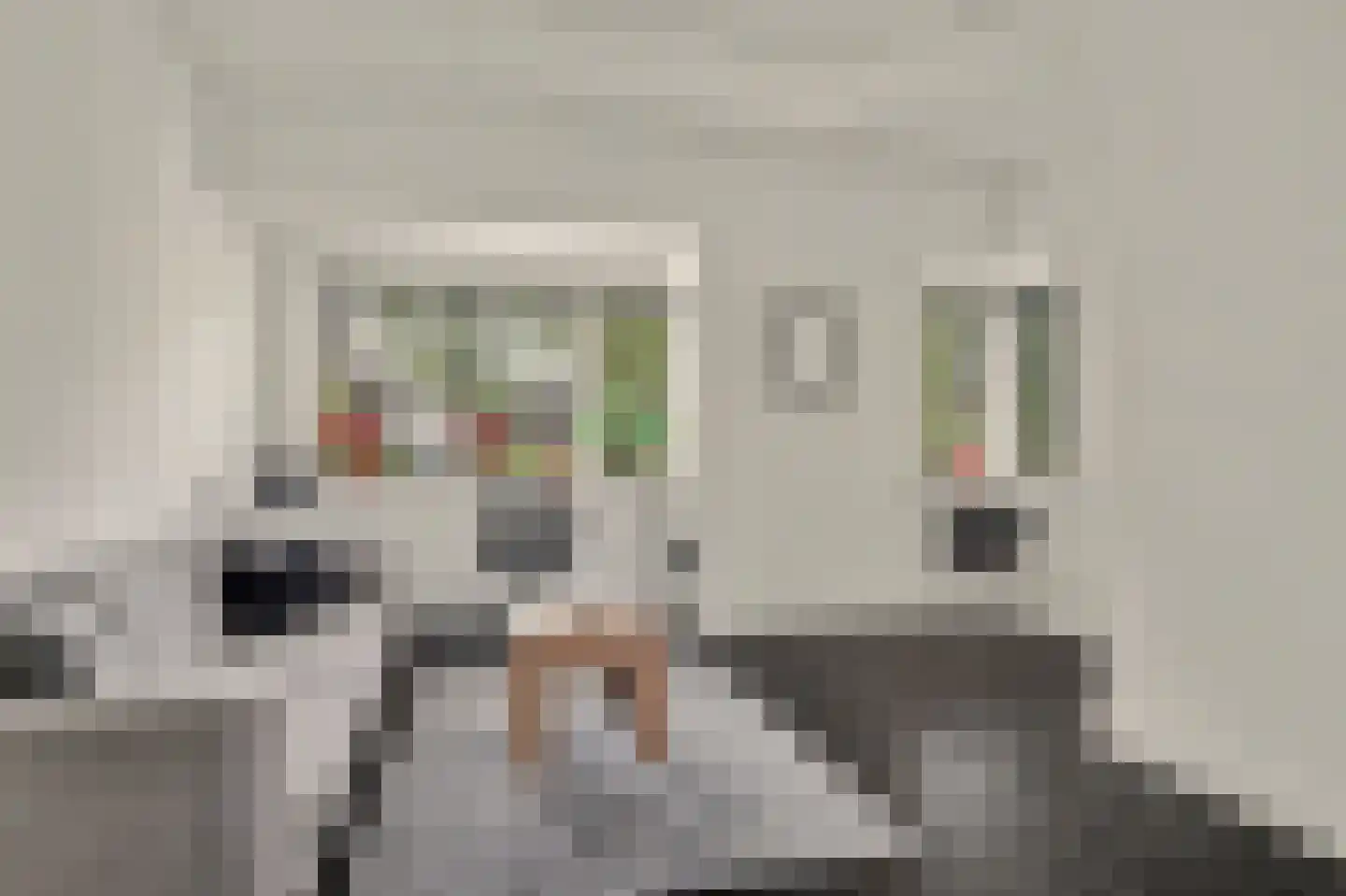 Kamperfoeliestraat 54 Goes thumbnail 8