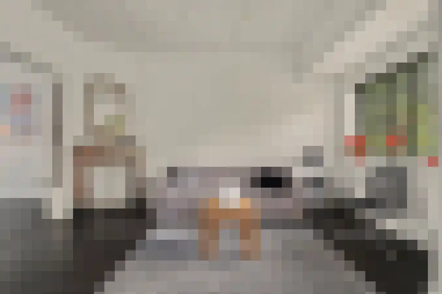 Kamperfoeliestraat 54 Goes thumbnail 9