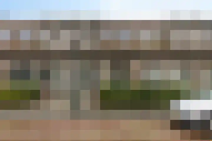 Kamperfoeliestraat 55 in Groningen