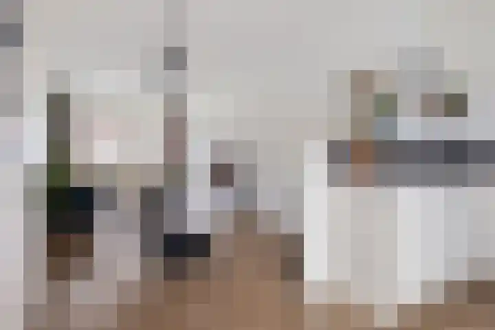 Kamperfoeliestraat 55 Groningen thumbnail 16
