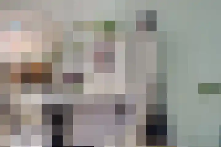 Kamperfoeliestraat 55 Groningen thumbnail 17