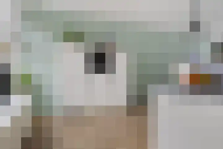 Kamperfoeliestraat 55 Groningen thumbnail 18