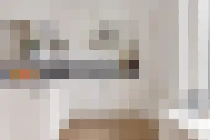 Kamperfoeliestraat 55 Groningen thumbnail 19