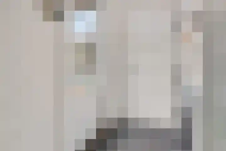 Kamperfoeliestraat 55 Groningen thumbnail 23