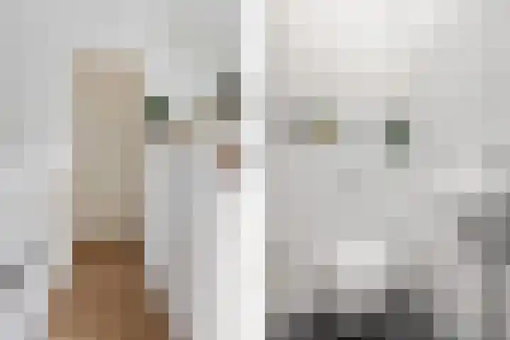 Kamperfoeliestraat 55 Groningen thumbnail 24