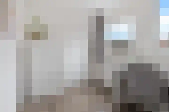 Kamperfoeliestraat 55 Groningen thumbnail 29