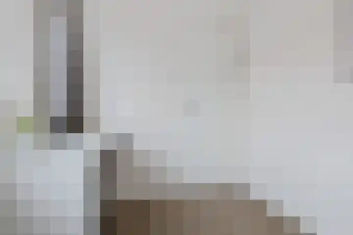 Kamperfoeliestraat 55 Groningen thumbnail 30