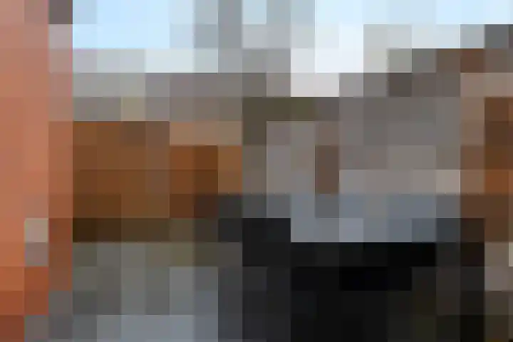 Kamperfoeliestraat 55 Groningen thumbnail 33