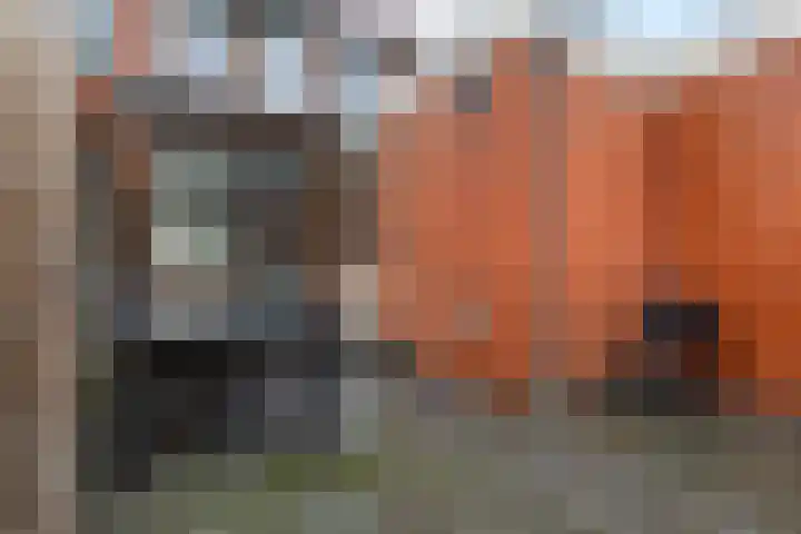 Kamperfoeliestraat 55 Groningen thumbnail 34