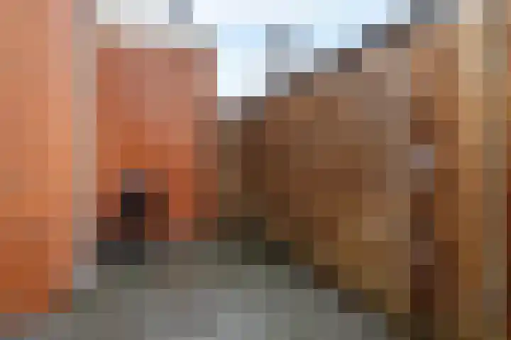 Kamperfoeliestraat 55 Groningen thumbnail 35
