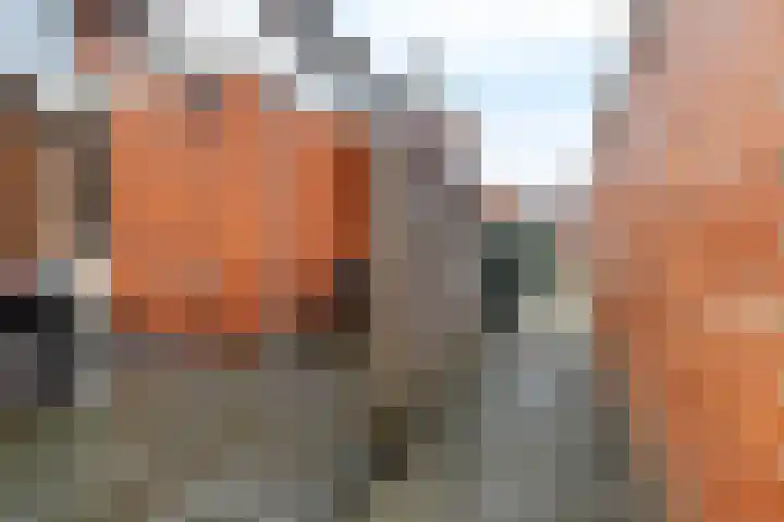 Kamperfoeliestraat 55 Groningen thumbnail 36