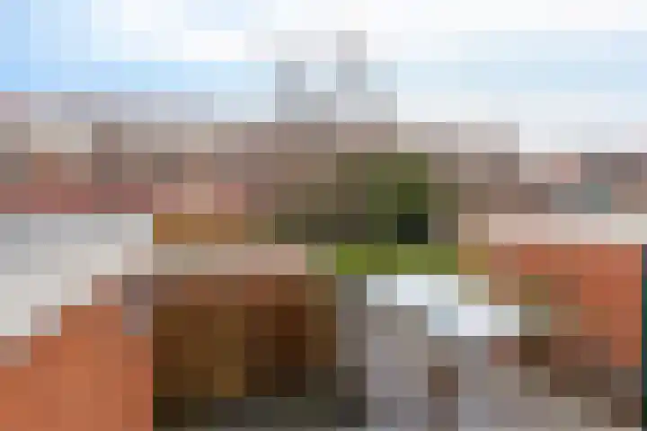Kamperfoeliestraat 55 Groningen thumbnail 38