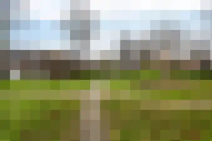 Kamperfoeliestraat 55 Groningen thumbnail 39